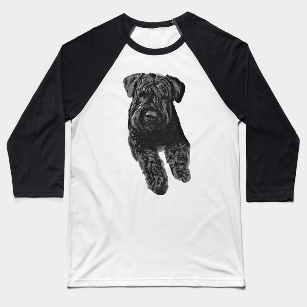 Bouvier Des Flandres Baseball T-Shirt by Claireandrewss